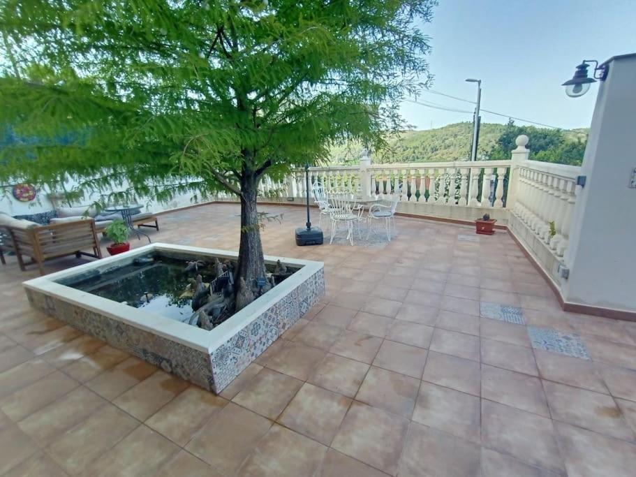 Villa Falconera Apartaments, Gandia A Las Faldas De La Montana מראה חיצוני תמונה