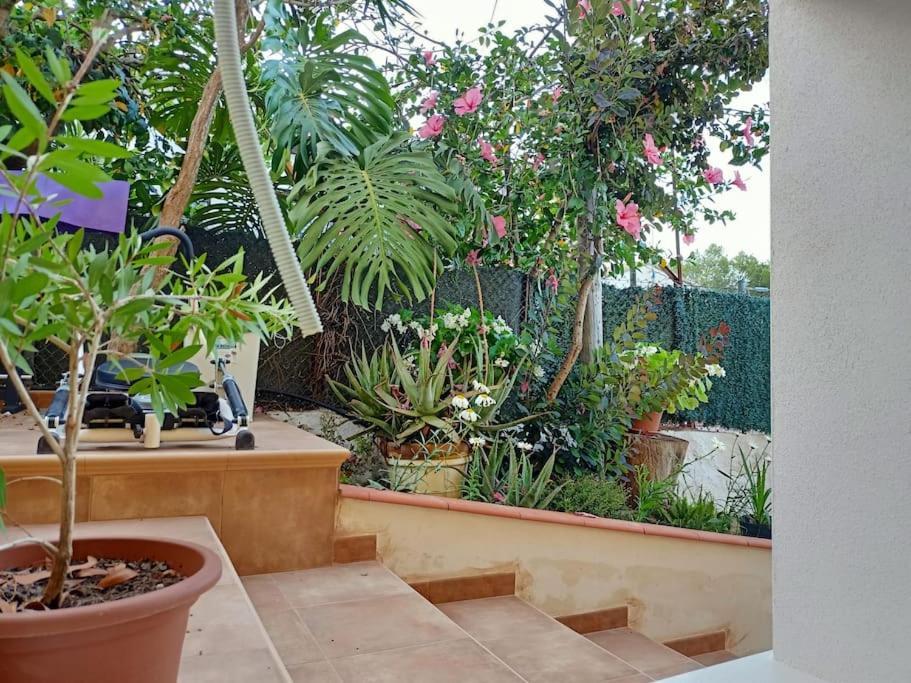 Villa Falconera Apartaments, Gandia A Las Faldas De La Montana מראה חיצוני תמונה