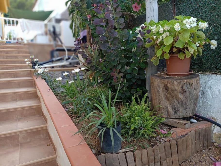 Villa Falconera Apartaments, Gandia A Las Faldas De La Montana מראה חיצוני תמונה