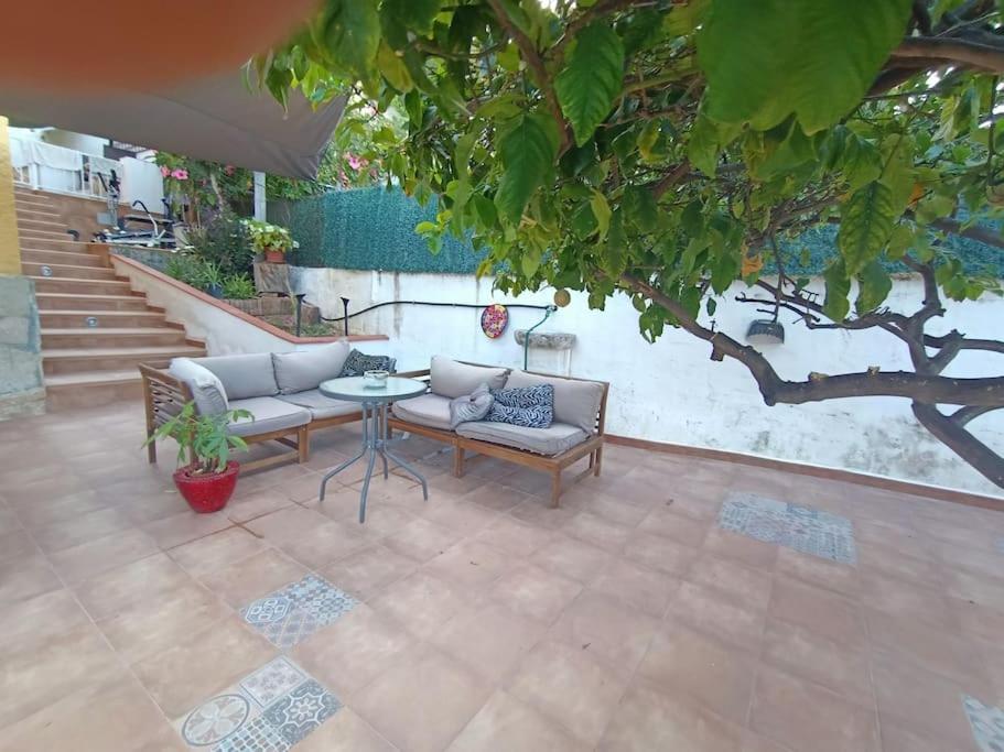 Villa Falconera Apartaments, Gandia A Las Faldas De La Montana מראה חיצוני תמונה