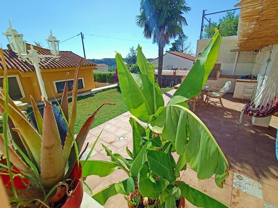 Villa Falconera Apartaments, Gandia A Las Faldas De La Montana מראה חיצוני תמונה