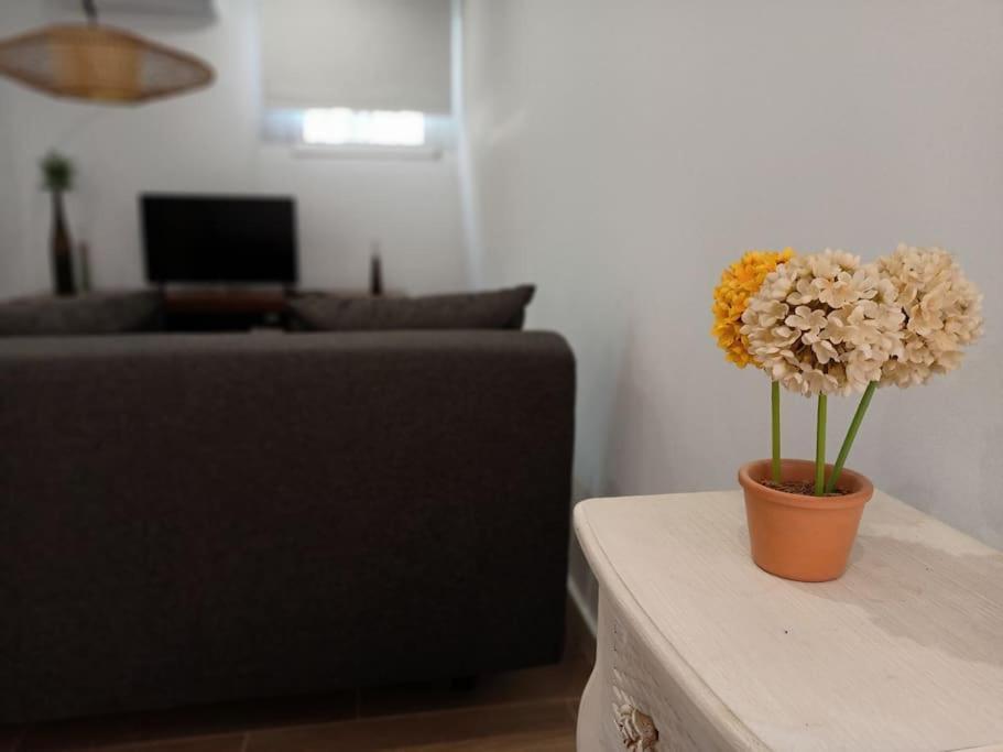 Villa Falconera Apartaments, Gandia A Las Faldas De La Montana מראה חיצוני תמונה