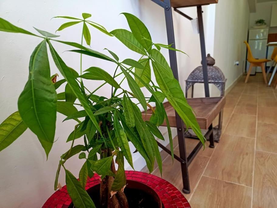 Villa Falconera Apartaments, Gandia A Las Faldas De La Montana מראה חיצוני תמונה